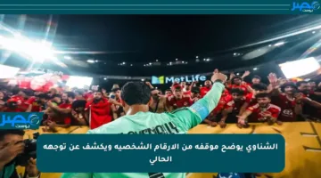الشناوي يوضح موقفه من الأرقام الشخصية ويكشف عن توجهه الحالي